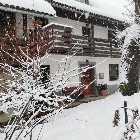 Apartma Pr Gatej 보히니 외부 사진